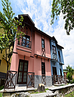Genel